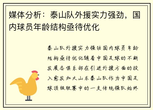 媒体分析：泰山队外援实力强劲，国内球员年龄结构亟待优化