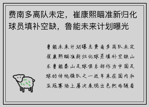 费南多离队未定，崔康熙瞄准新归化球员填补空缺，鲁能未来计划曝光
